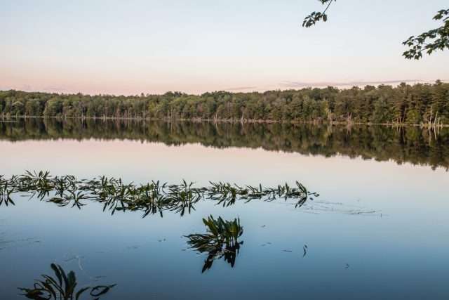 Photo of the lake at Camp Zeke at sunset
