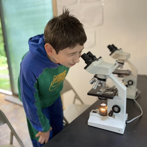 Science at Camp Zeke